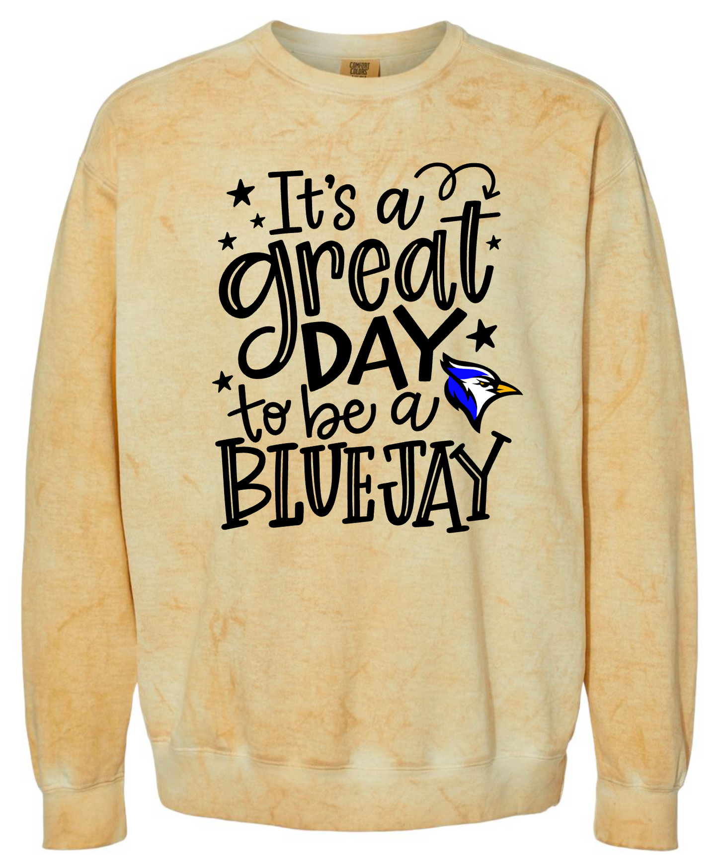 Eisenhower Elementary "Great Day to be a Bluejay" Design