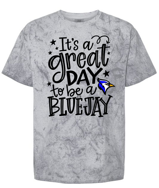 Eisenhower Elementary "Great Day to be a Bluejay" Design