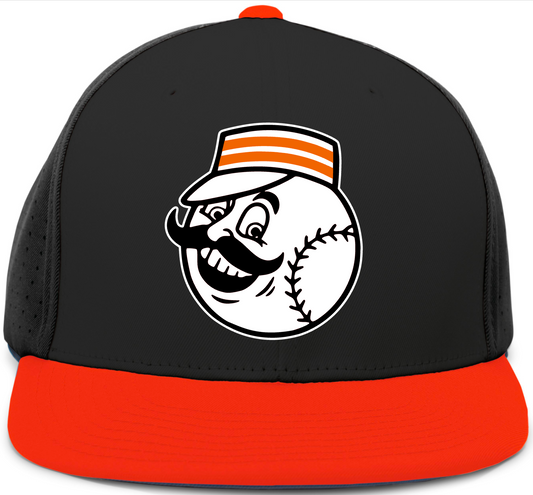 Dirtbags Baseball Hat