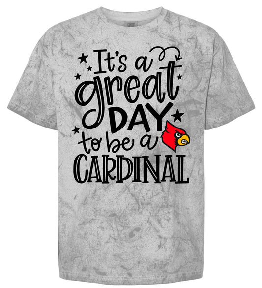 Great Day to be a Cardinal