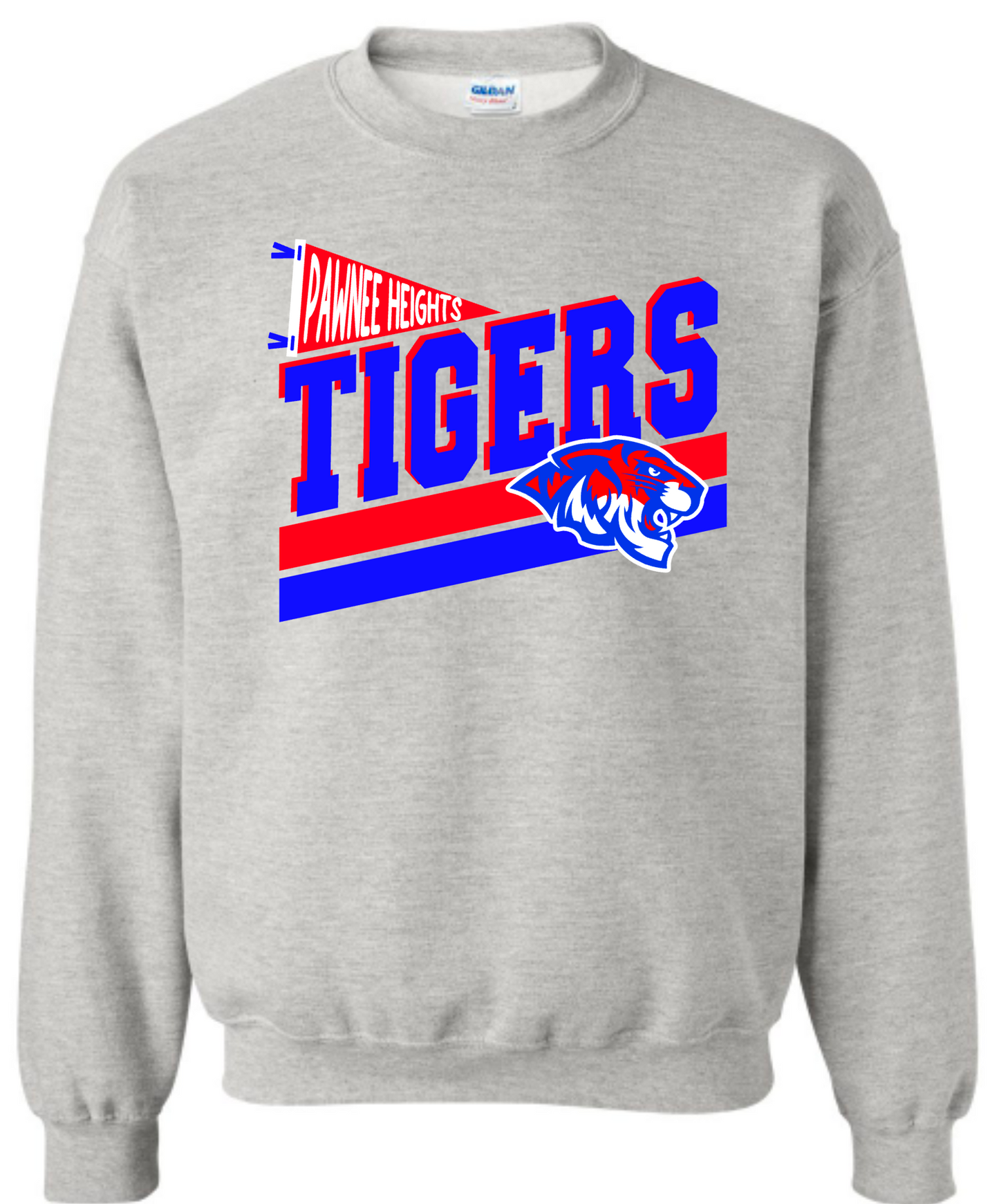 School Mascot Pennant Sweatshirt